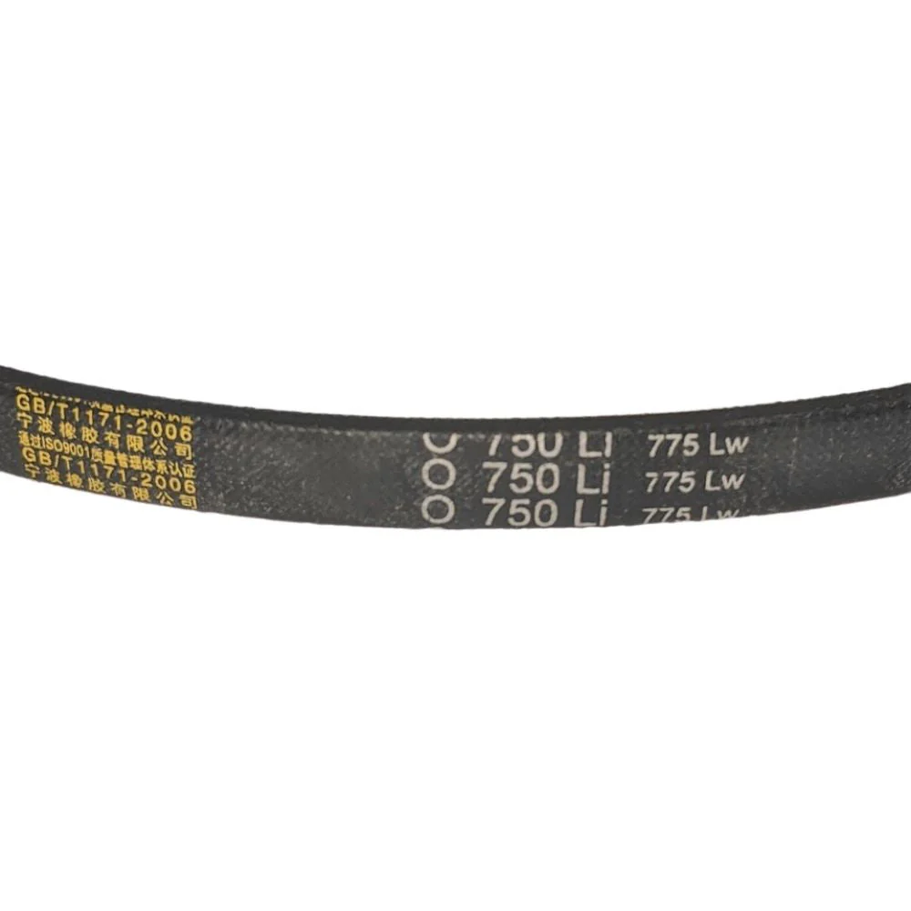 BBT Commercial Cultivator Tiller Reverse Belt (2011 to 2024) - Image 2